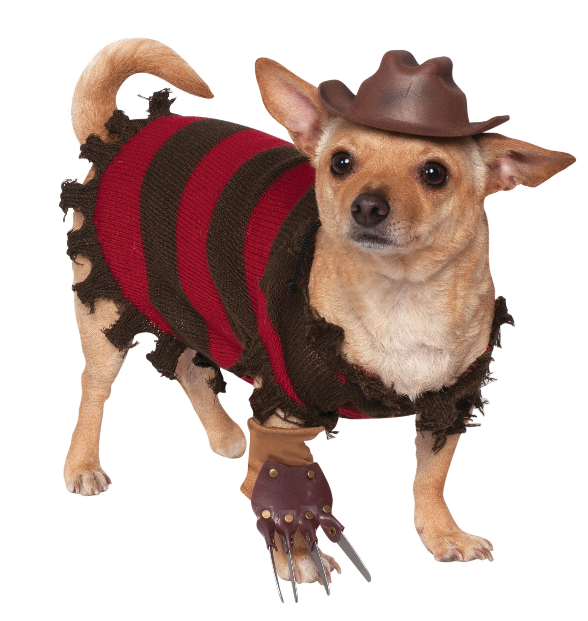 dog costumes 4