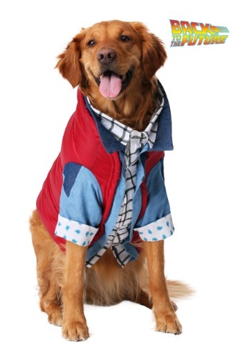 dog costumes 9